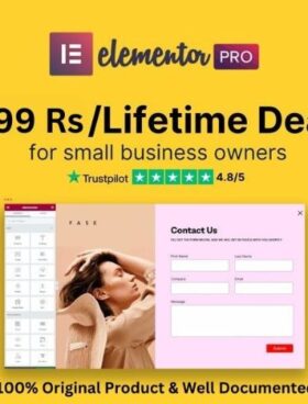 Elementor Pro-WordPress Plugin, Latest Update
